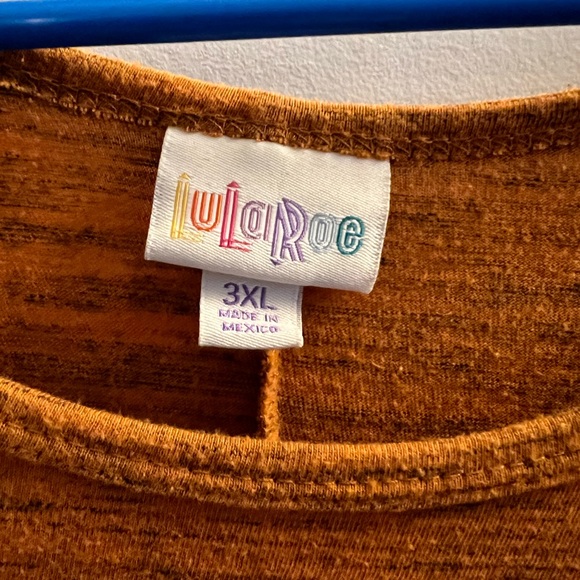 COPY - Lularoe Carly Dress - Picture 2 of 3